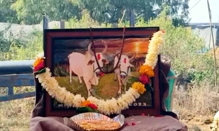 MadhyaPradesh: Last rites of the cadets who survived.. Bones mixed in the Ganga..!!